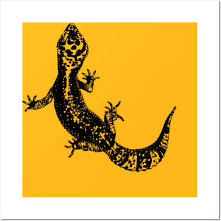 Gecko / Gekkonidae Posters and Art